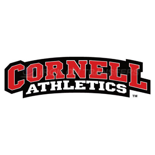 Cornell Big Red logo T-shirts Iron On Transfers N4193